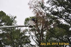 Entergy 035